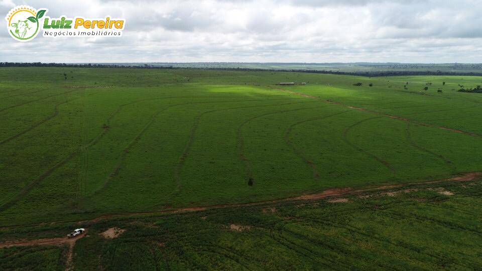 Fazenda à venda, 103970000m² - Foto 12