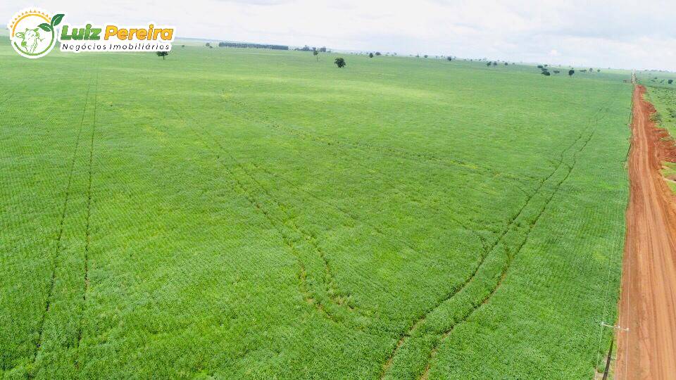 Fazenda à venda, 103970000m² - Foto 23