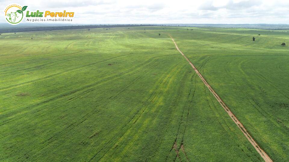 Fazenda à venda, 103970000m² - Foto 22