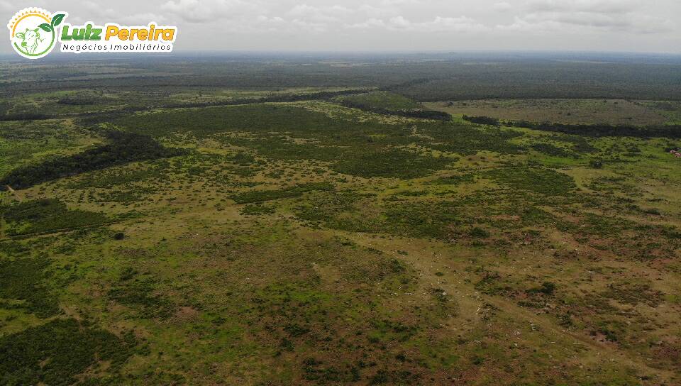 Fazenda à venda, 103970000m² - Foto 6