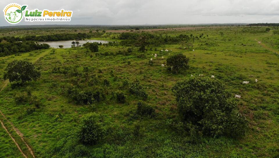 Fazenda à venda, 103970000m² - Foto 11