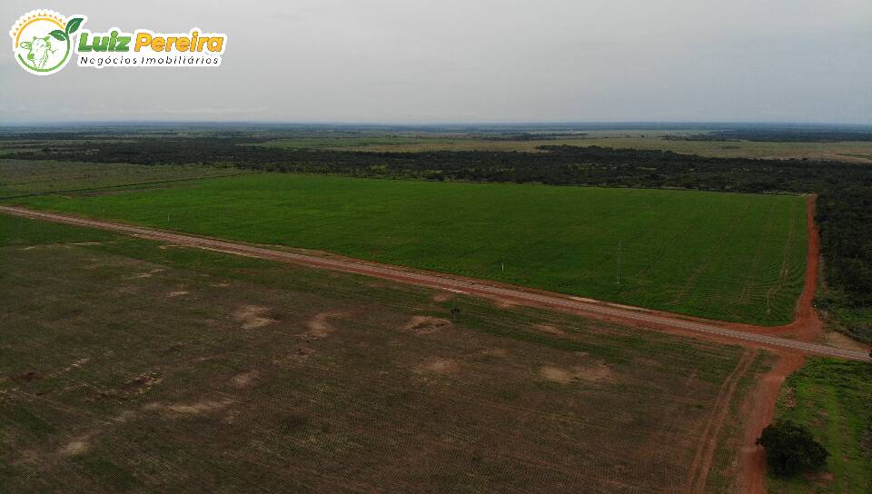 Fazenda à venda, 103970000m² - Foto 13