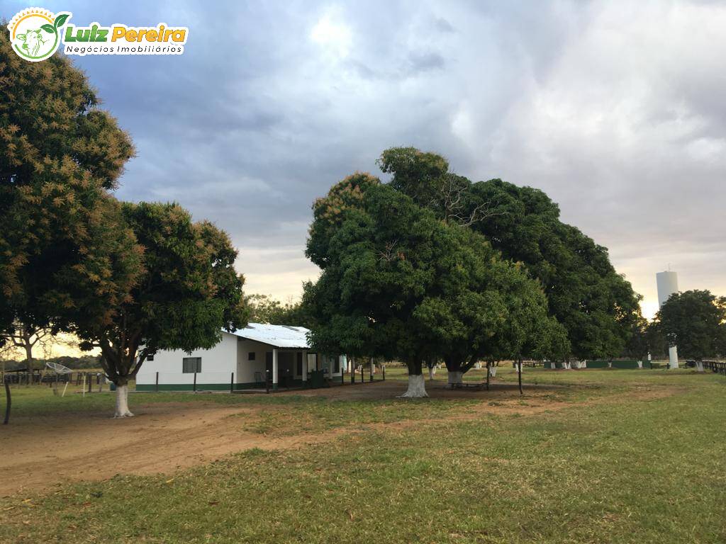 Fazenda-Sítio-Chácara, 3420 hectares - Foto 1