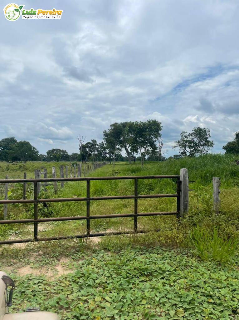 Fazenda à venda, 34200000m² - Foto 8