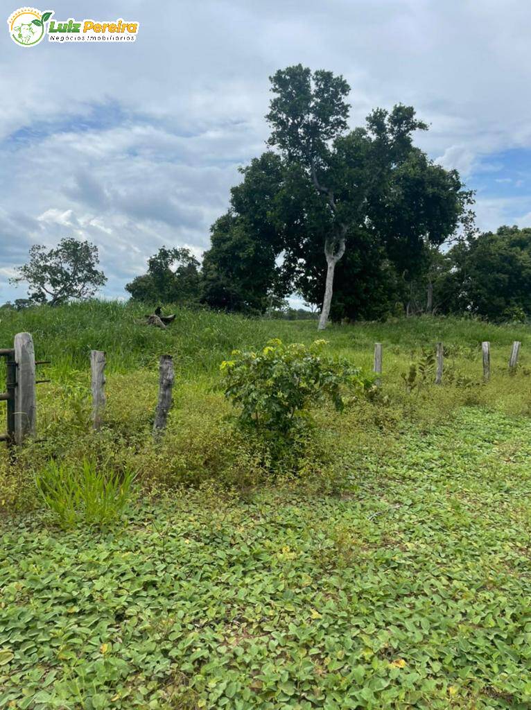 Fazenda-Sítio-Chácara, 3420 hectares - Foto 4