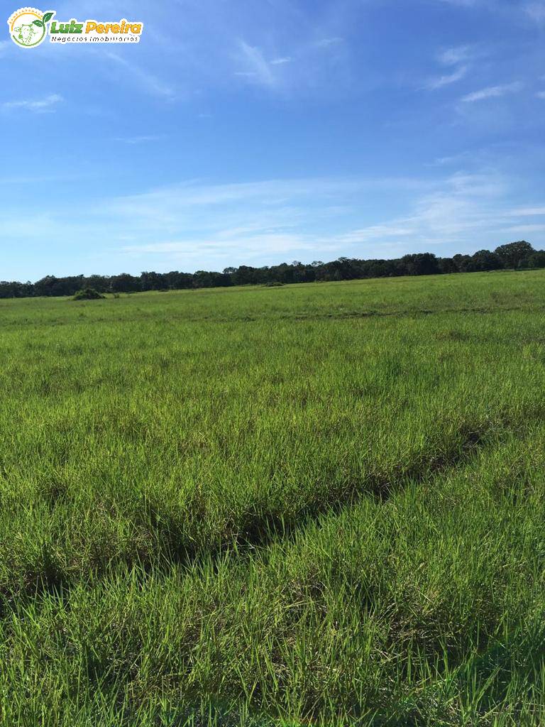 Fazenda à venda, 34200000m² - Foto 6