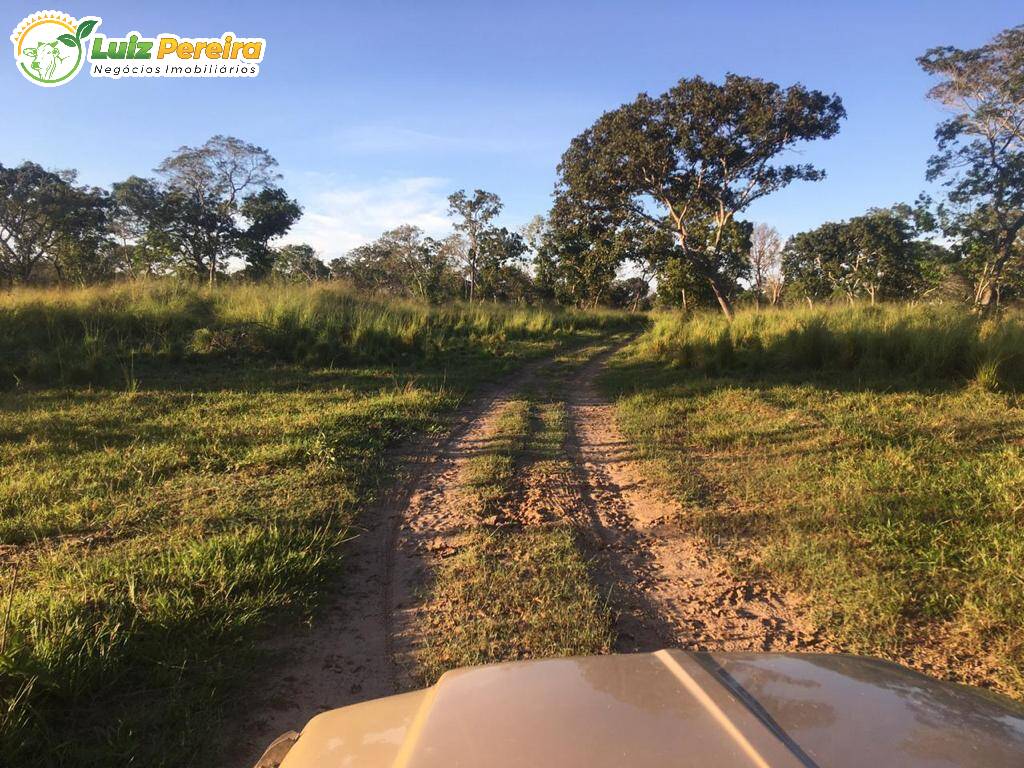 Fazenda à venda, 34200000m² - Foto 18