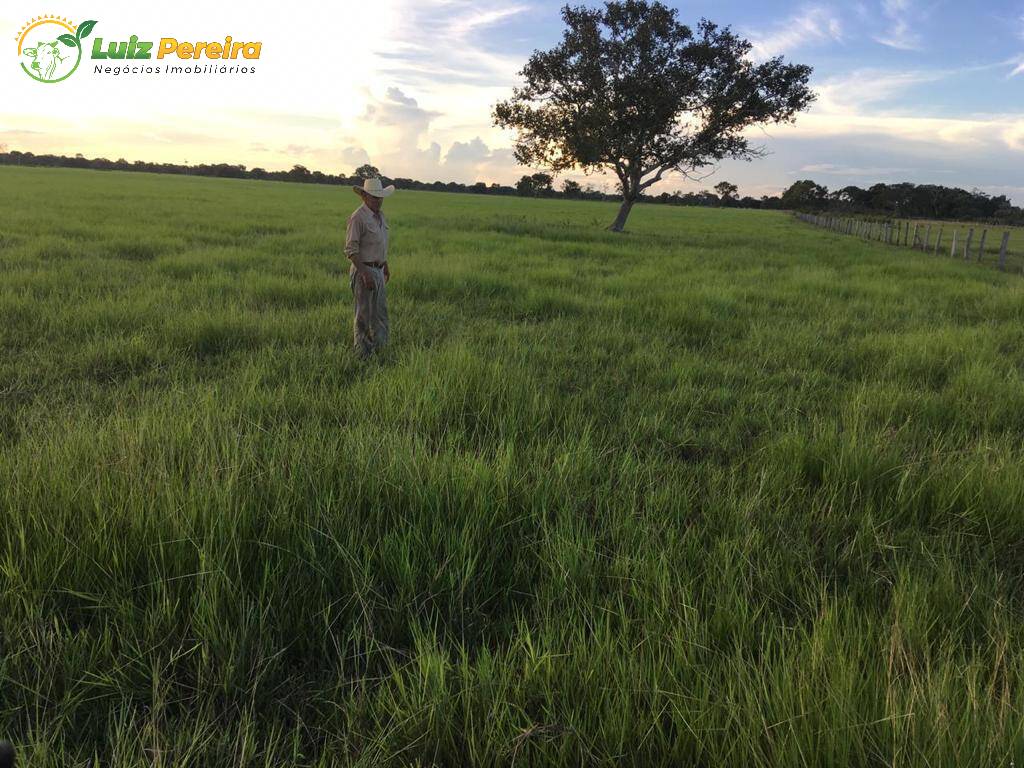 Fazenda-Sítio-Chácara, 3420 hectares - Foto 3