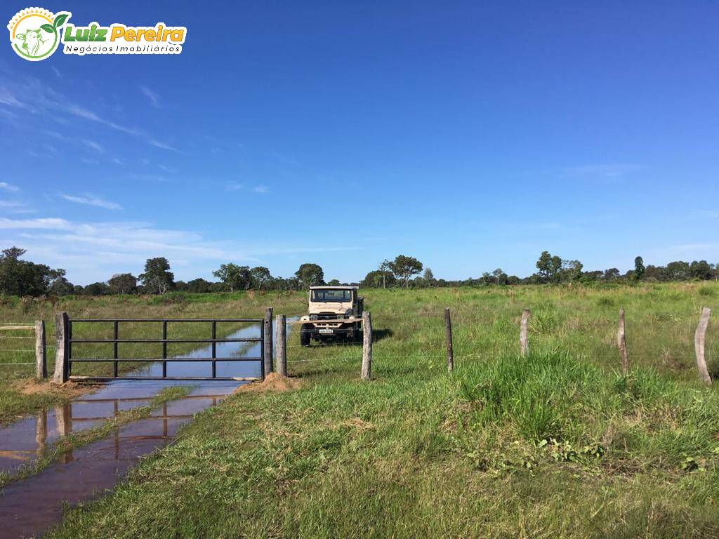 Fazenda à venda, 34200000m² - Foto 11