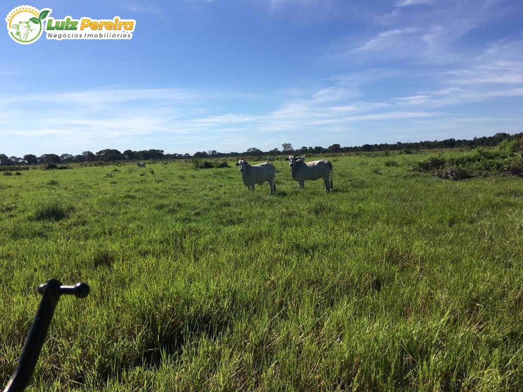 Fazenda à venda, 34200000m² - Foto 5