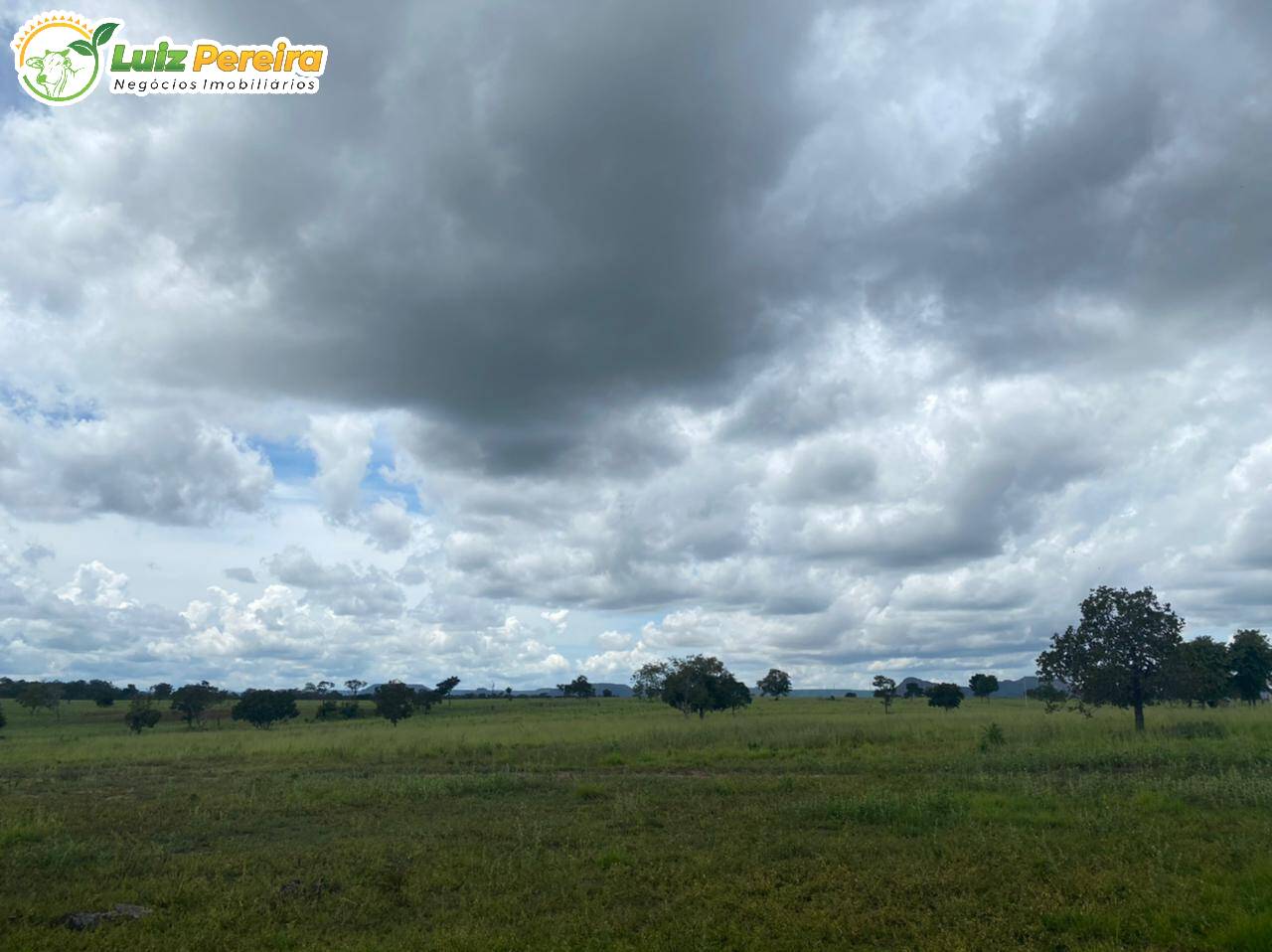 Fazenda-Sítio-Chácara, 3243 hectares - Foto 2