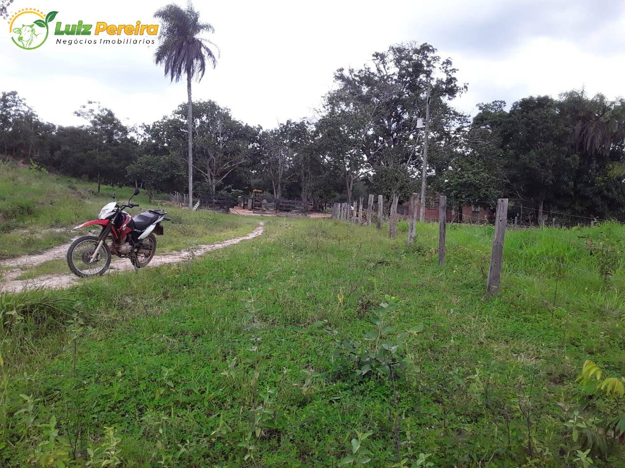 Fazenda à venda, 11320000m² - Foto 17