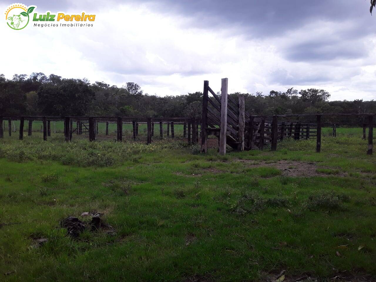 Fazenda à venda, 11320000m² - Foto 16