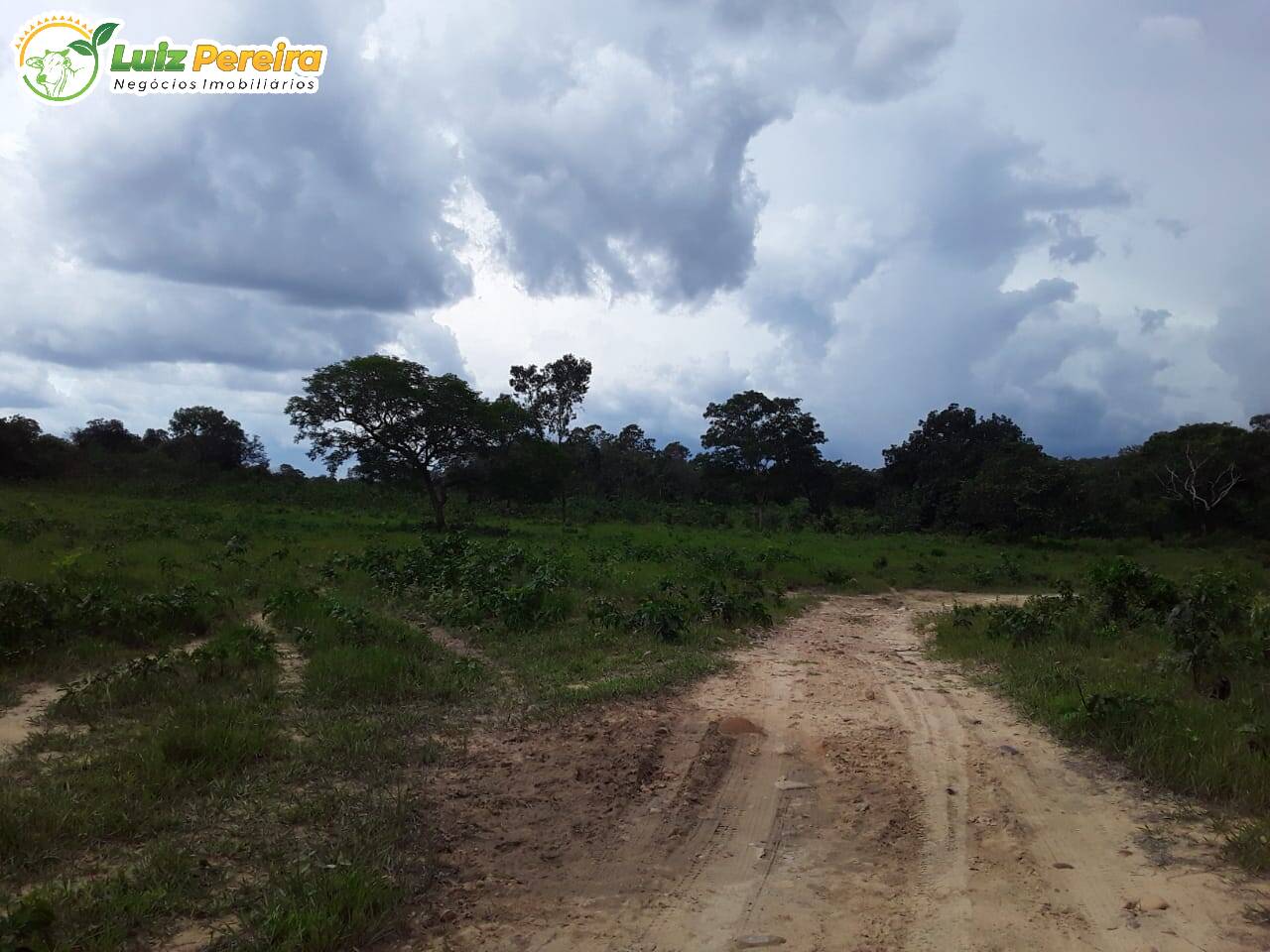 Fazenda à venda, 11320000m² - Foto 13