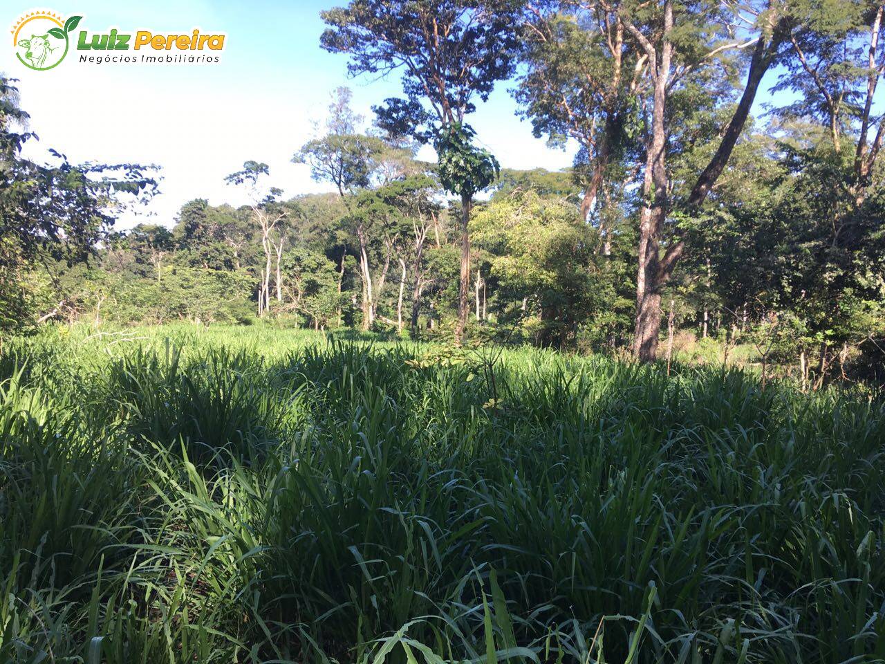 Fazenda à venda, 30000000m² - Foto 6