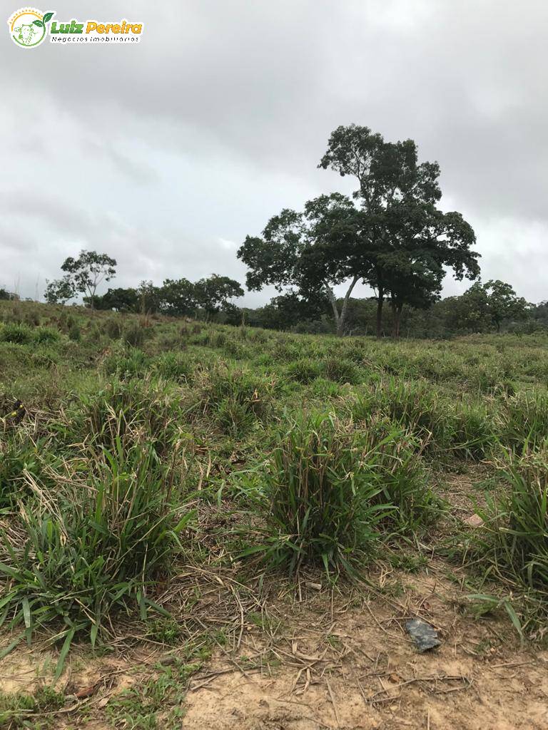 Fazenda à venda, 30000000m² - Foto 5