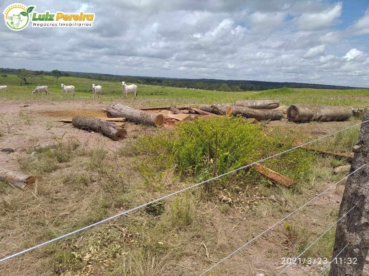 Fazenda à venda, 30000000m² - Foto 13