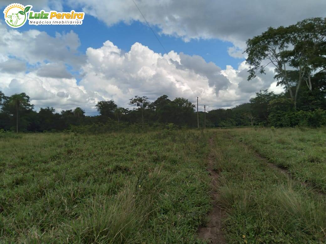 Fazenda-Sítio-Chácara, 968 hectares - Foto 2
