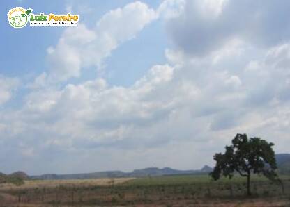 Fazenda-Sítio-Chácara, 9669 hectares - Foto 3