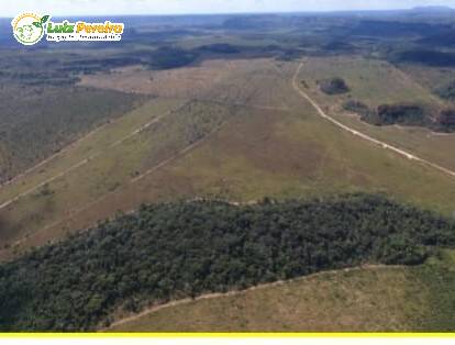 Fazenda-Sítio-Chácara, 9669 hectares - Foto 1