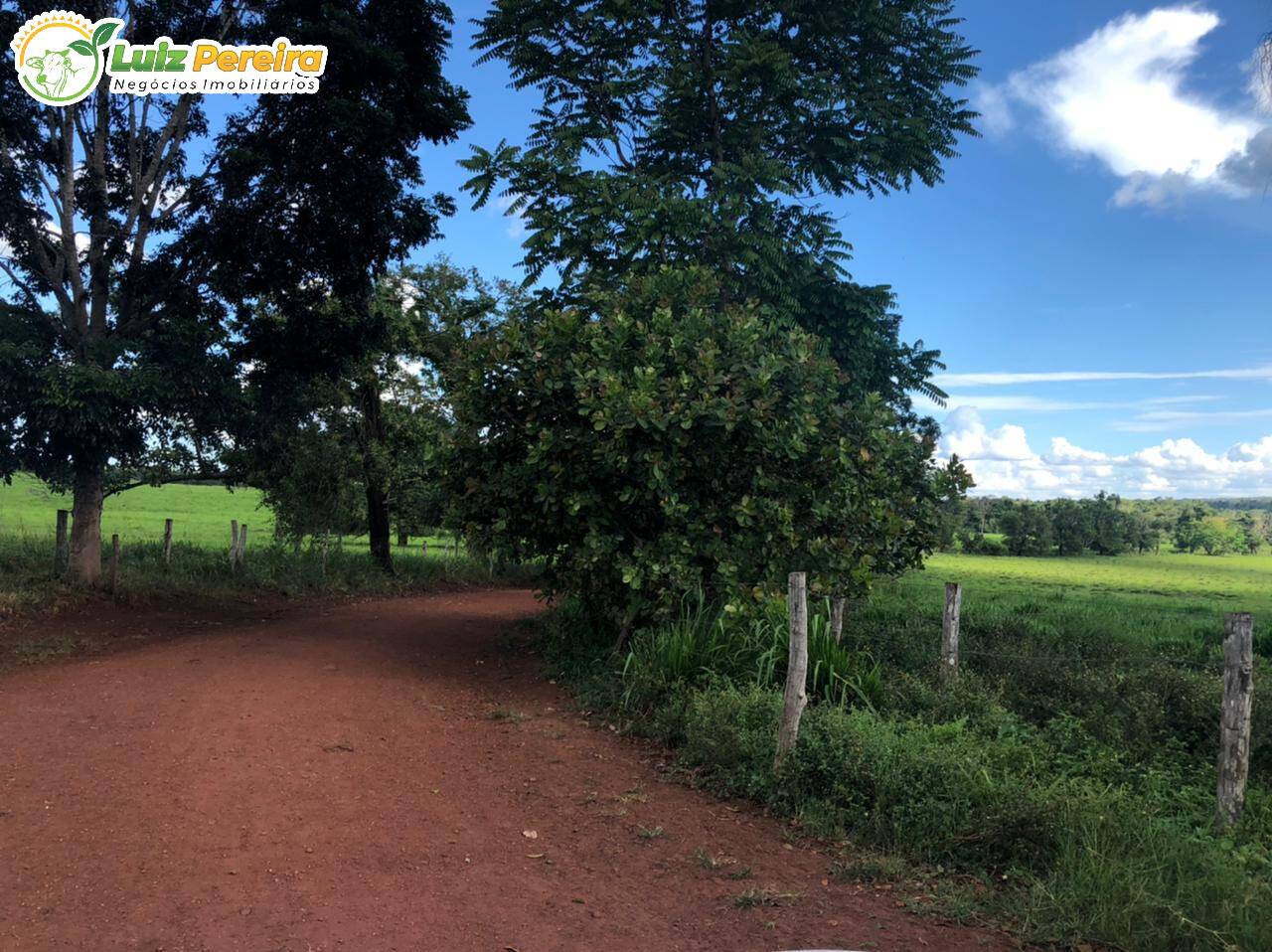 Fazenda à venda, 68740000m² - Foto 6