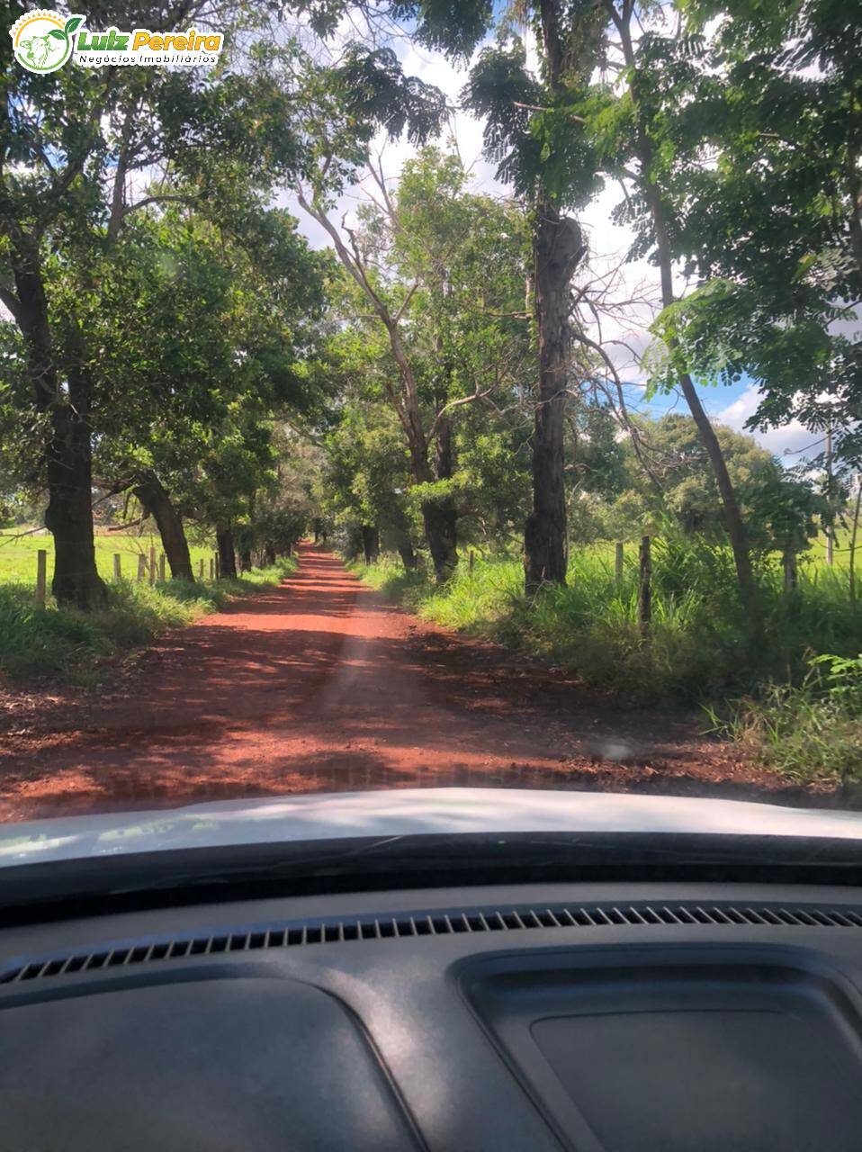 Fazenda à venda, 68740000m² - Foto 8