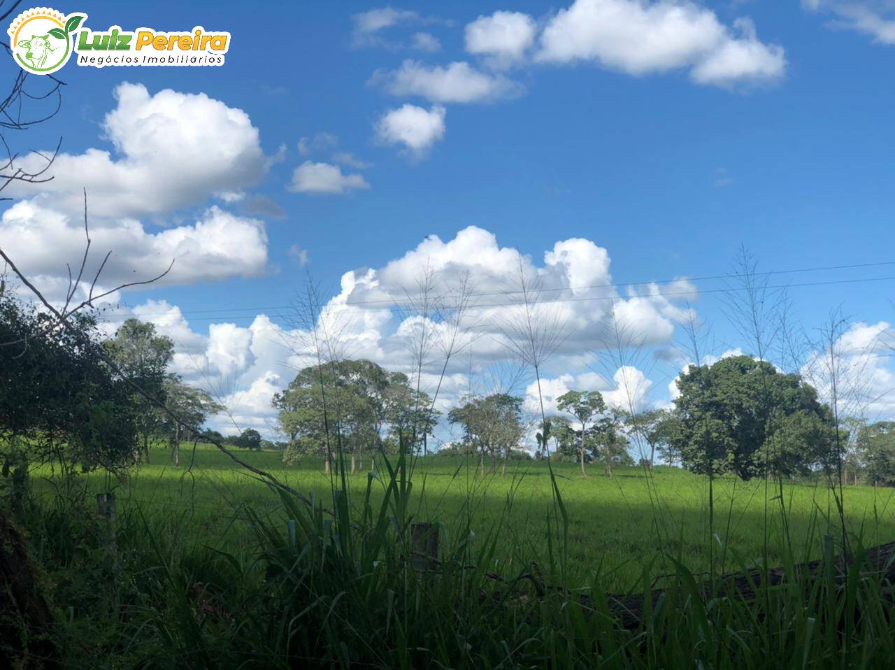 Fazenda-Sítio-Chácara, 6874 hectares - Foto 1