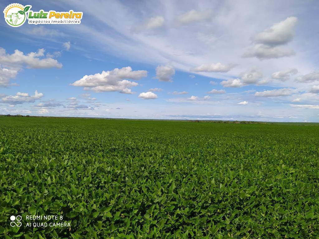 Fazenda-Sítio-Chácara, 5800 hectares - Foto 1