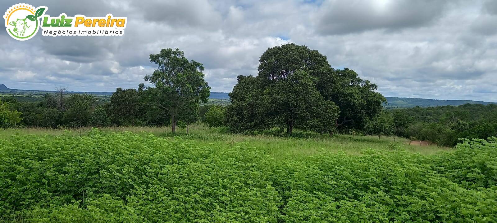 Fazenda à venda, 2485000m² - Foto 5