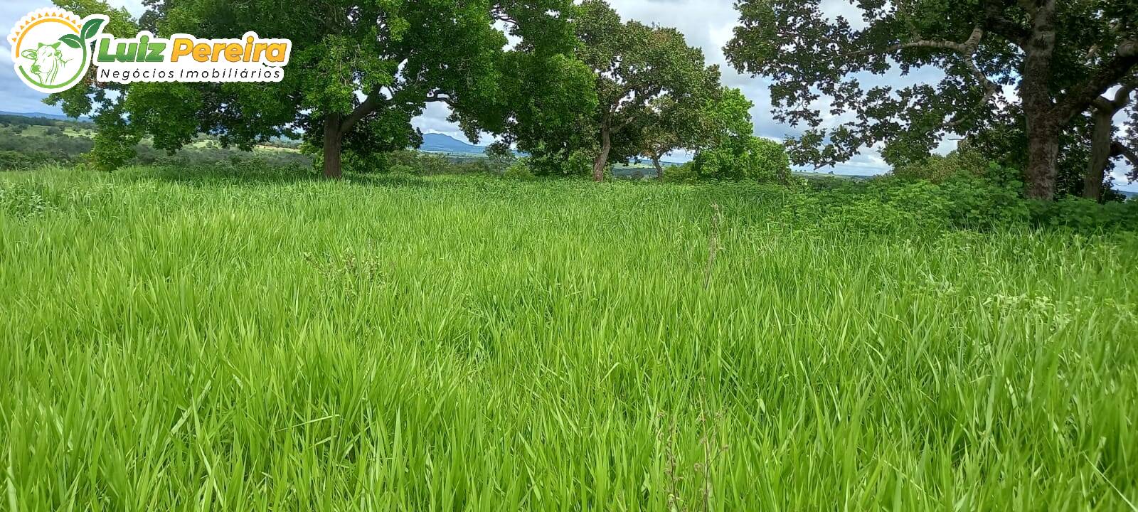 Fazenda à venda, 2485000m² - Foto 6