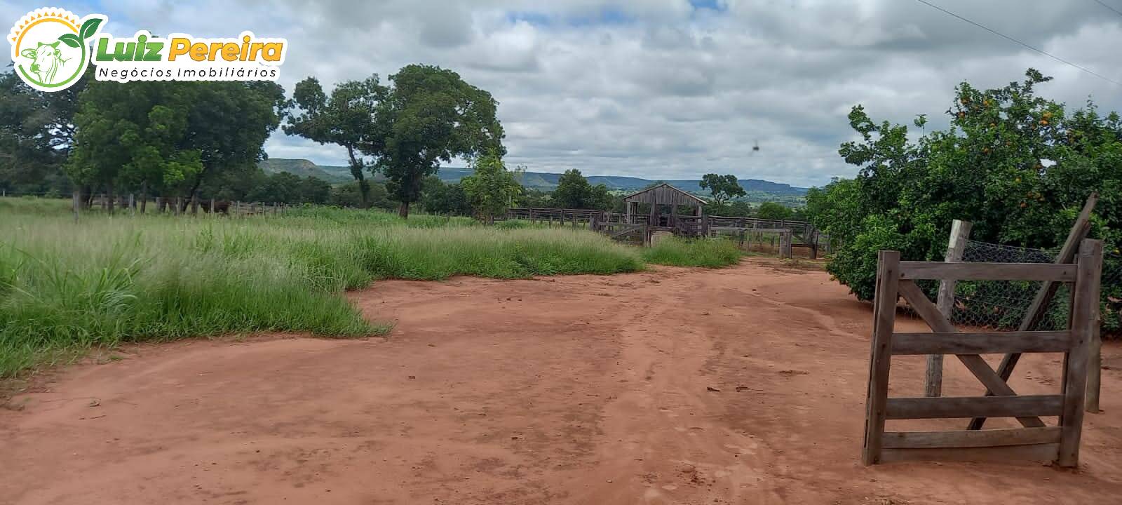 Fazenda à venda, 2485000m² - Foto 10