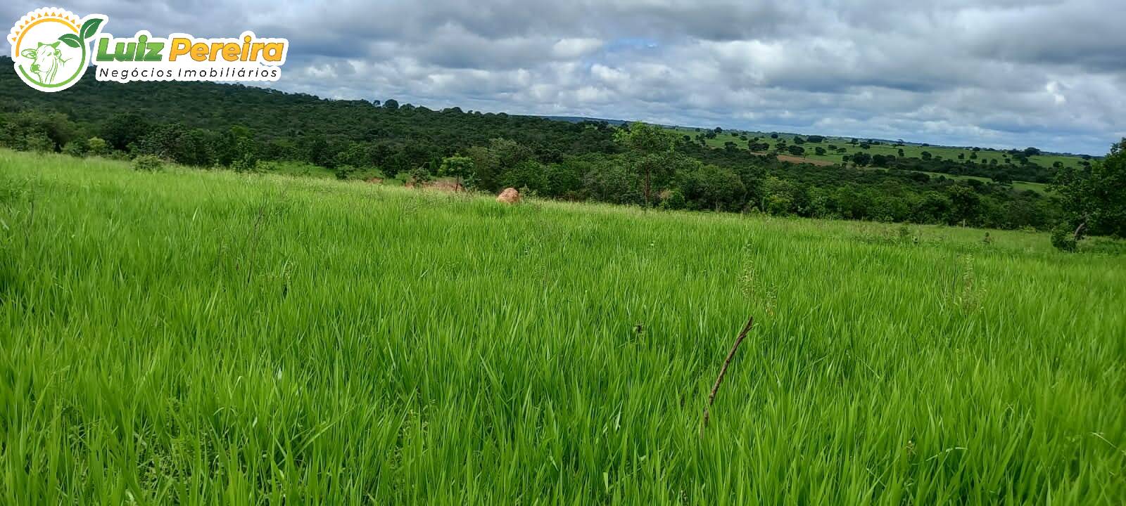 Fazenda à venda, 2485000m² - Foto 7