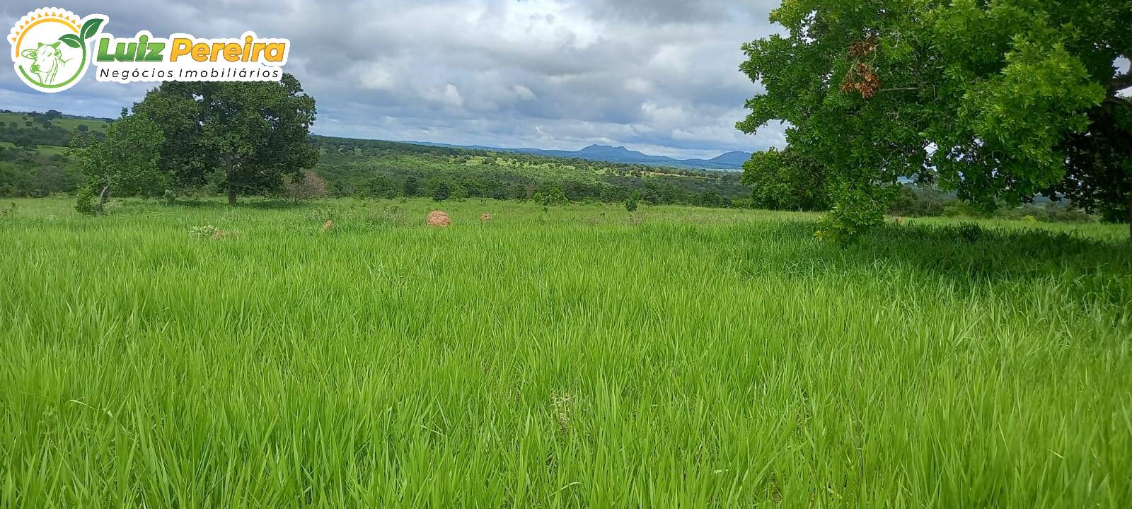 Fazenda à venda, 2485000m² - Foto 8