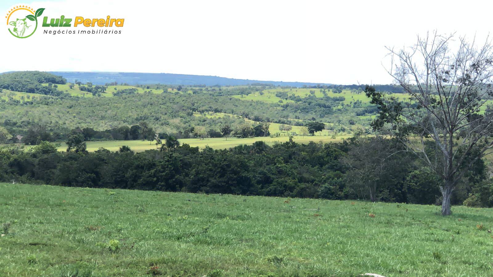 Fazenda à venda, 4800000m² - Foto 5