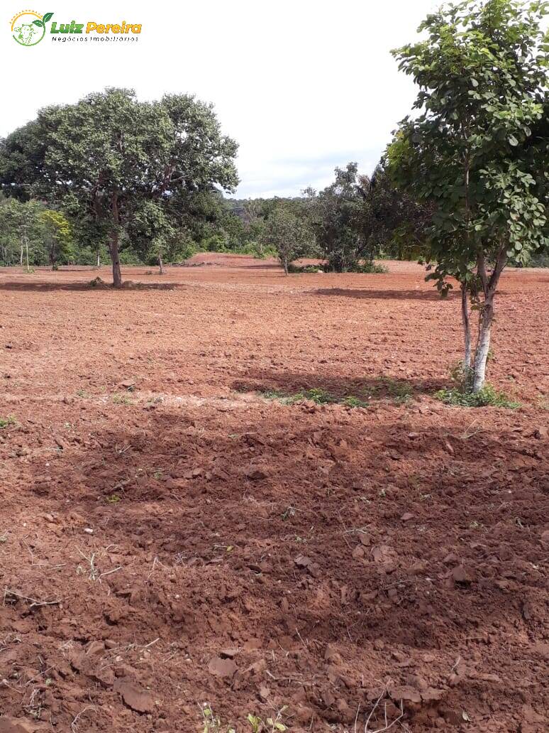 Fazenda à venda, 11374000m² - Foto 11