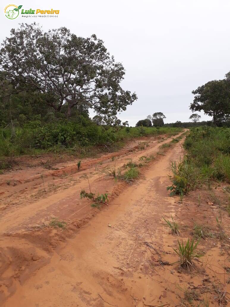 Fazenda à venda, 11374000m² - Foto 10