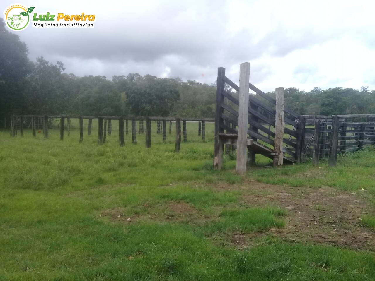 Fazenda à venda, 11374000m² - Foto 5