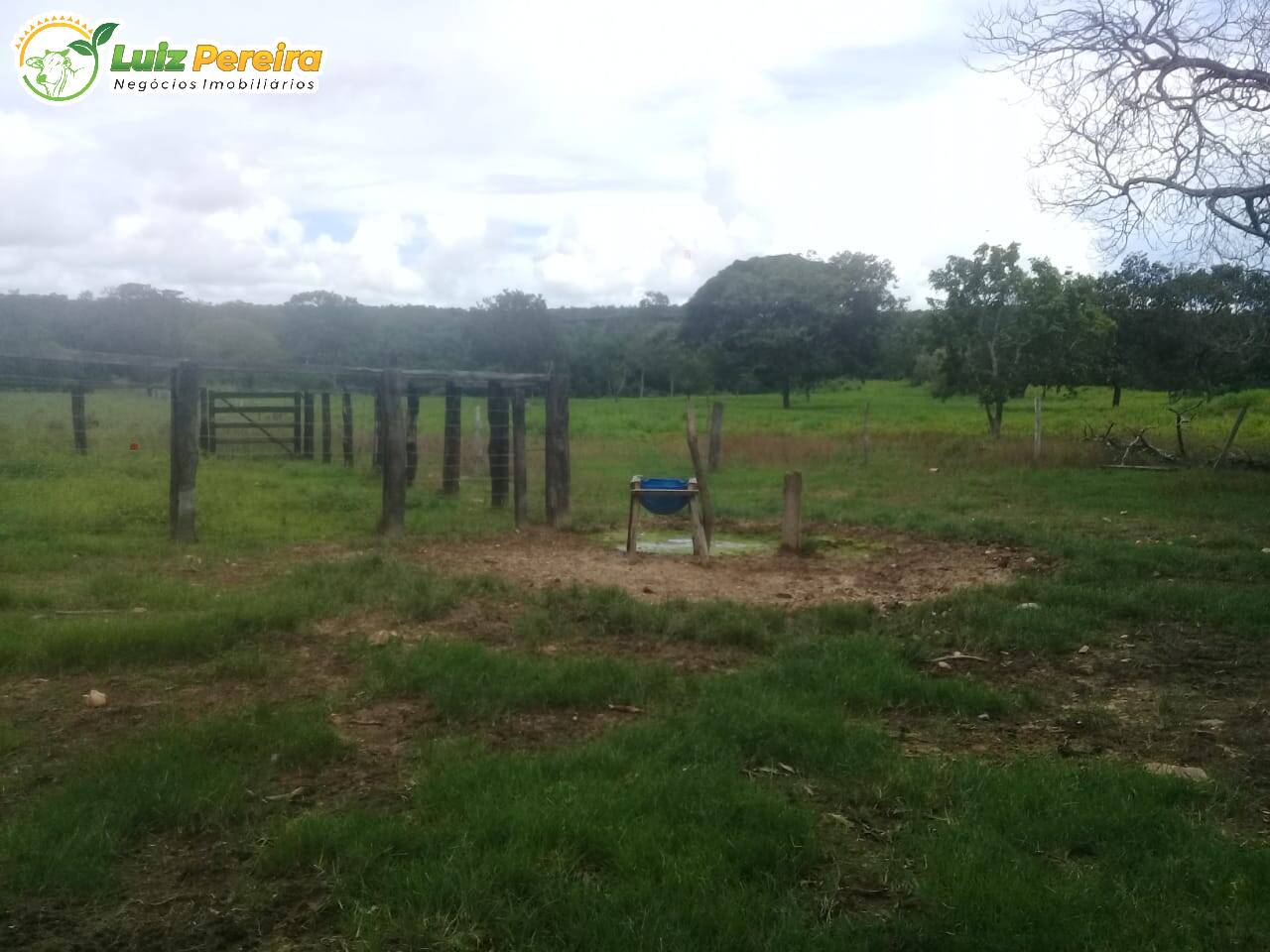 Fazenda à venda, 11374000m² - Foto 7