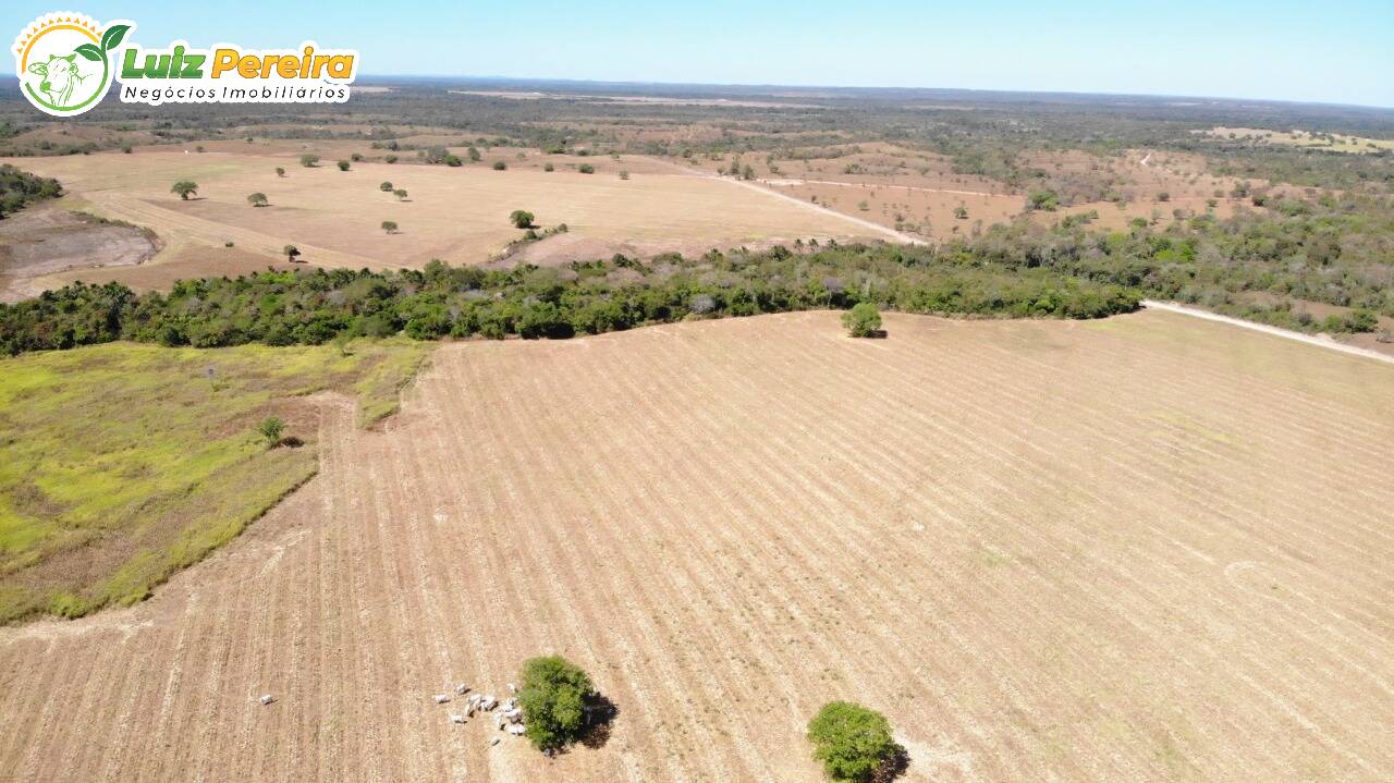 Fazenda-Sítio-Chácara, 427 hectares - Foto 3
