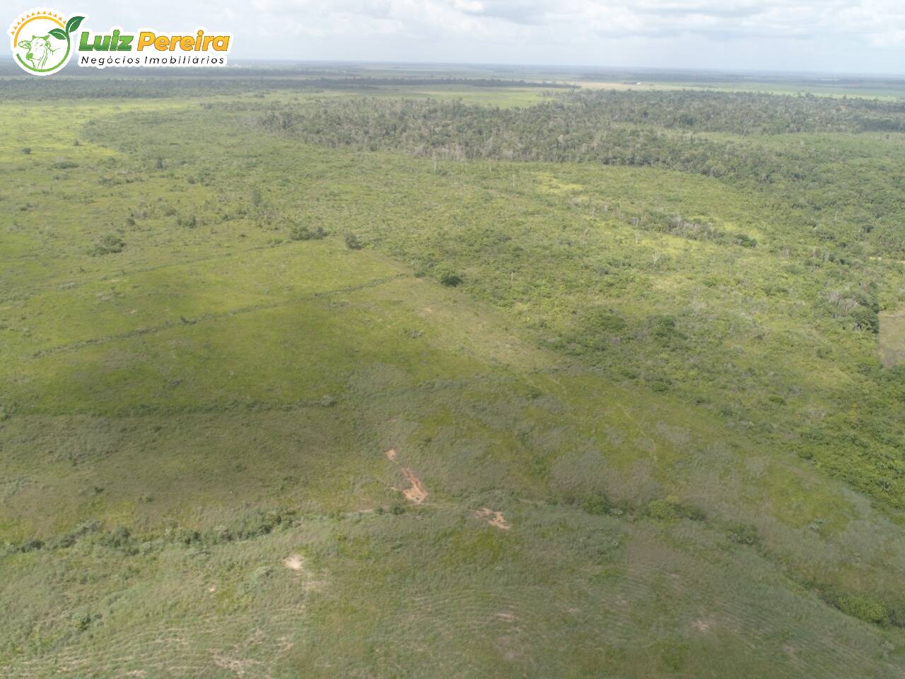 Fazenda à venda, 1263m² - Foto 8