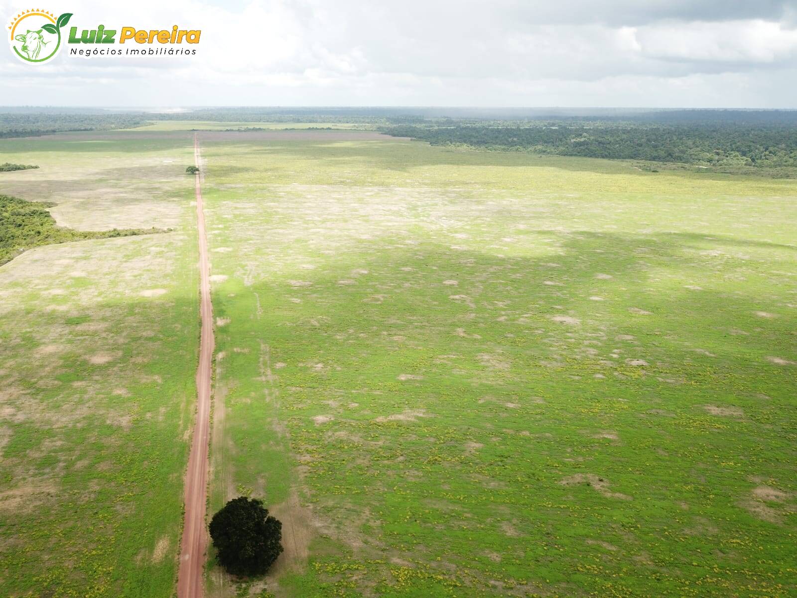 Fazenda à venda, 80800000m² - Foto 9