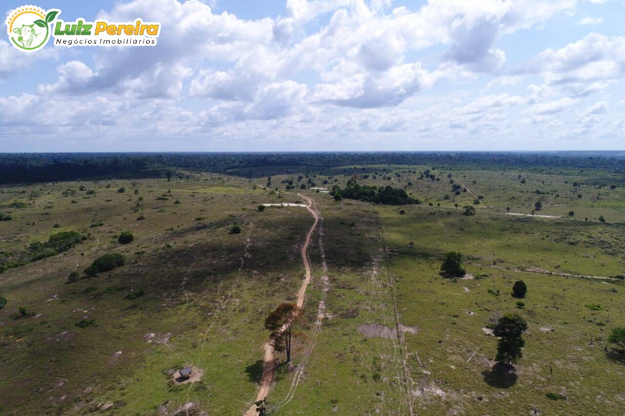 Fazenda à venda, 80800000m² - Foto 10