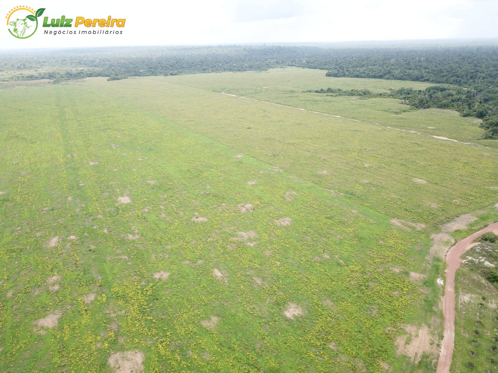 Fazenda à venda, 80800000m² - Foto 11