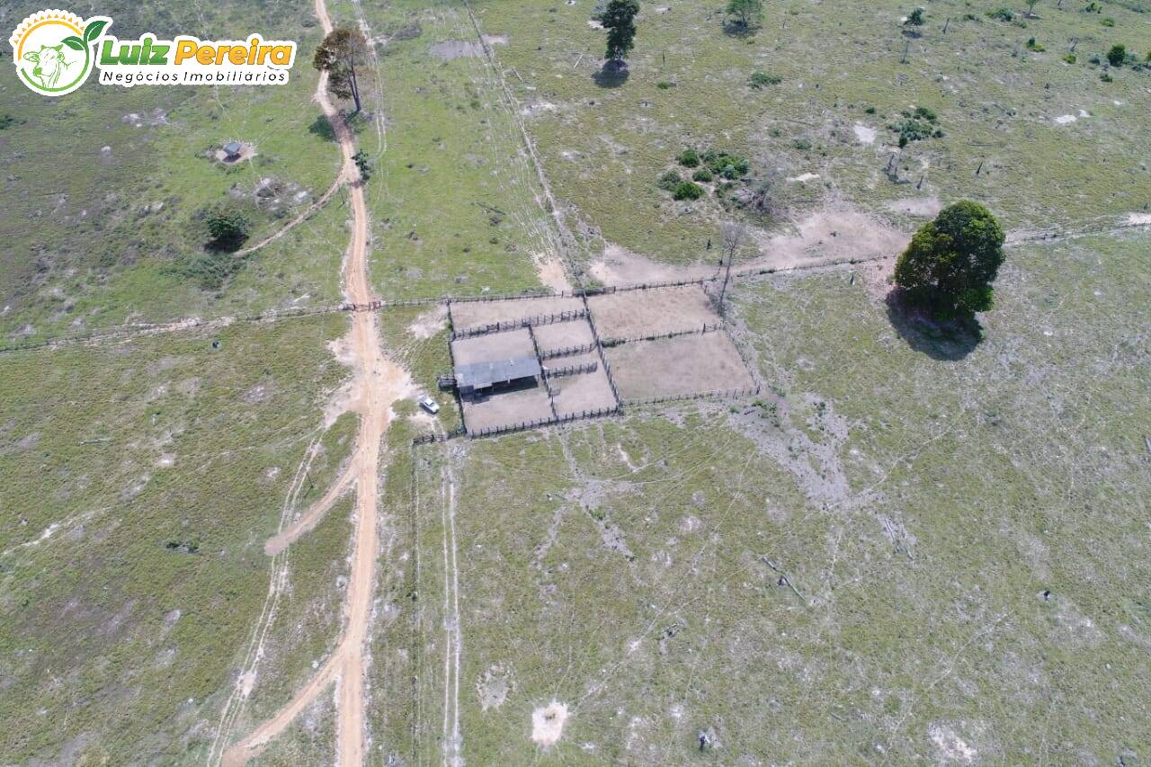 Fazenda à venda, 80800000m² - Foto 12