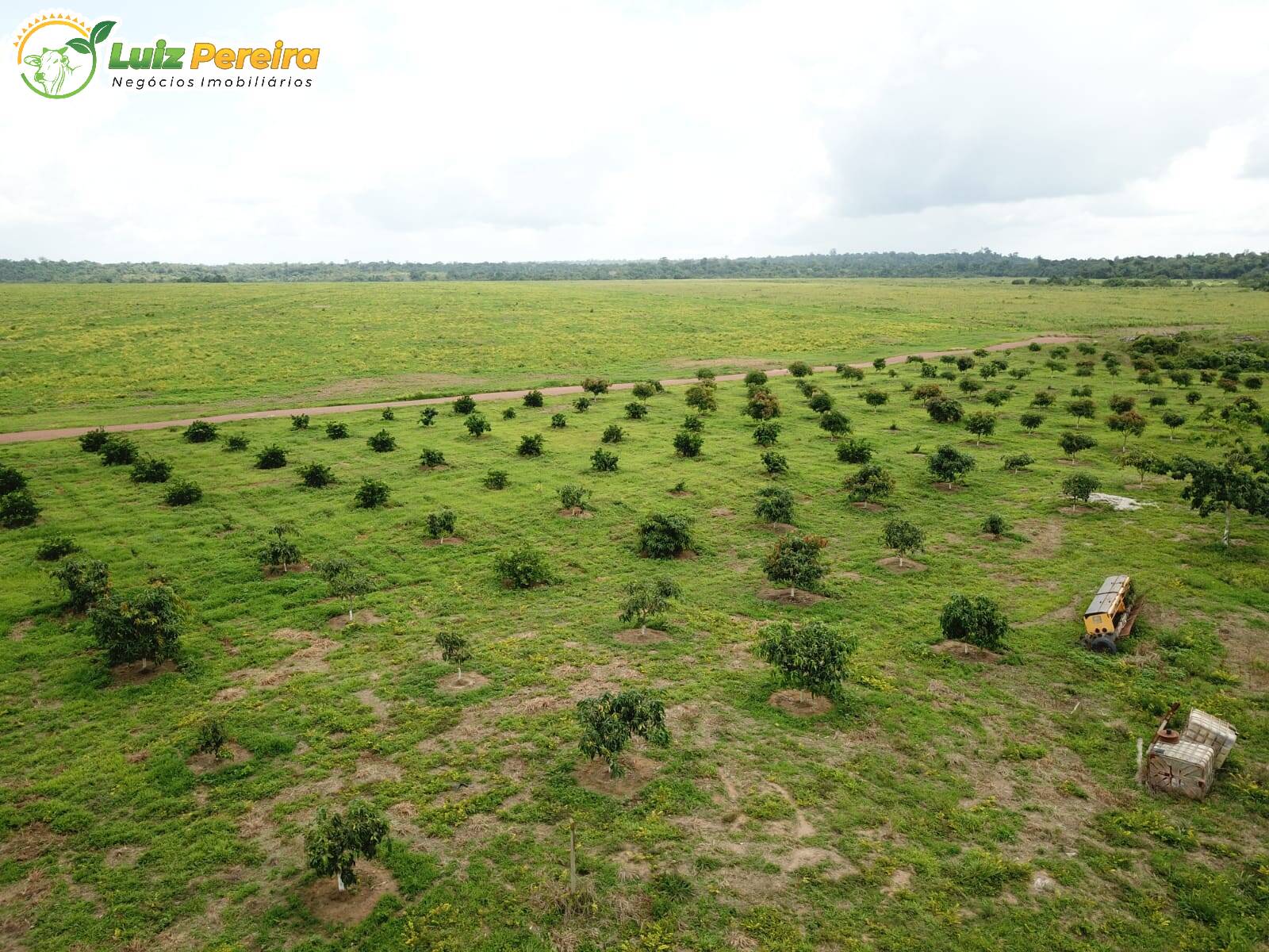 Fazenda à venda, 80800000m² - Foto 15