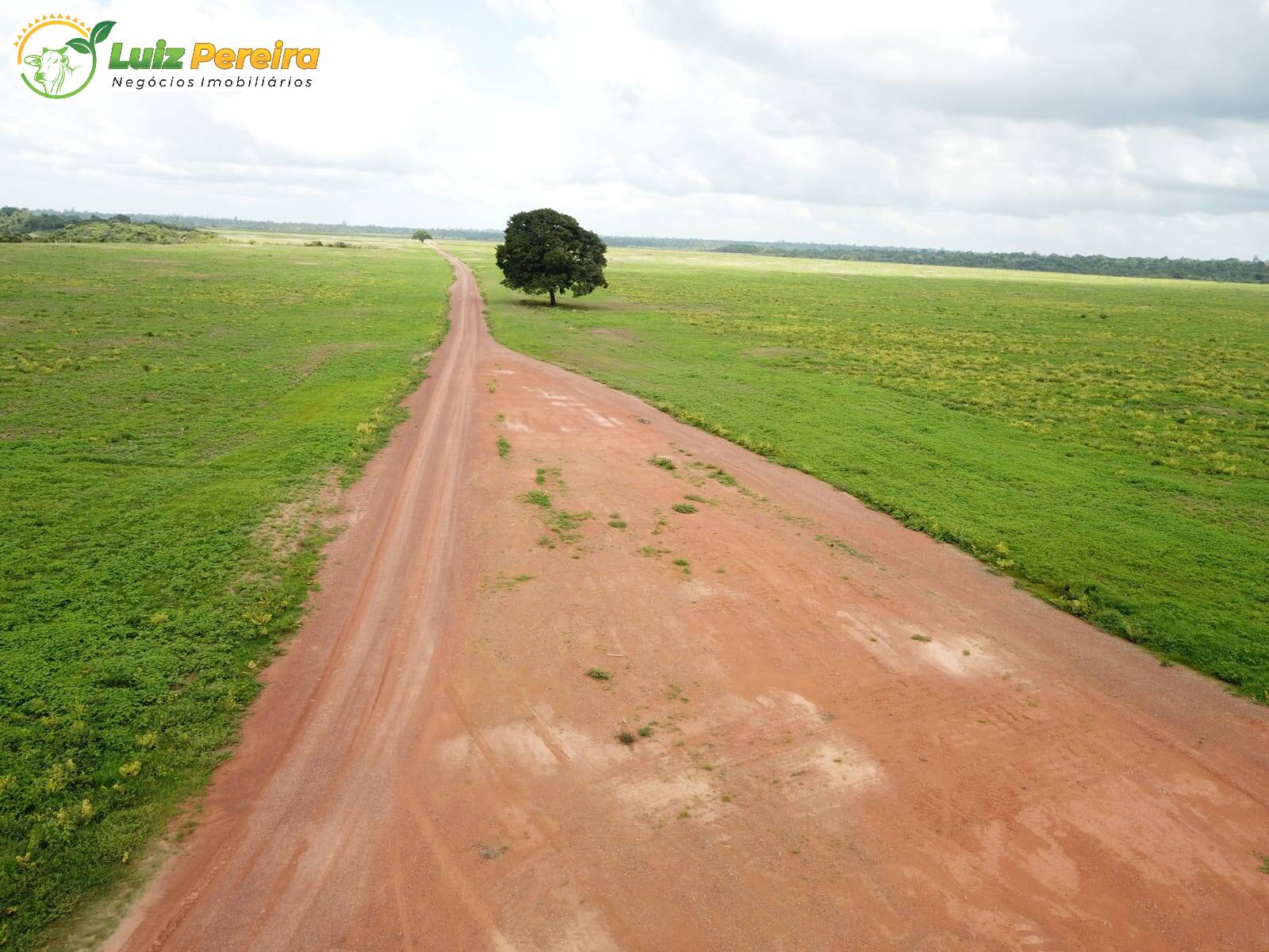 Fazenda à venda, 80800000m² - Foto 19