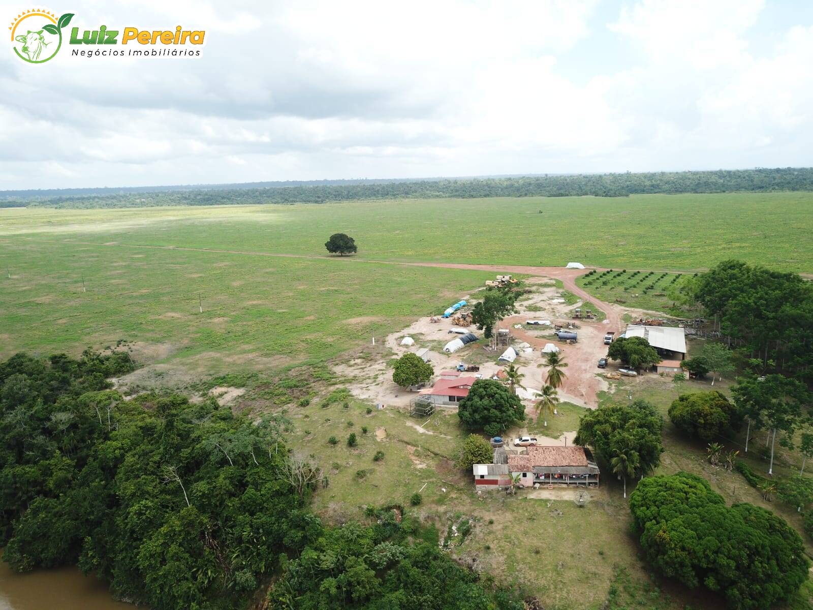 Fazenda à venda, 80800000m² - Foto 5