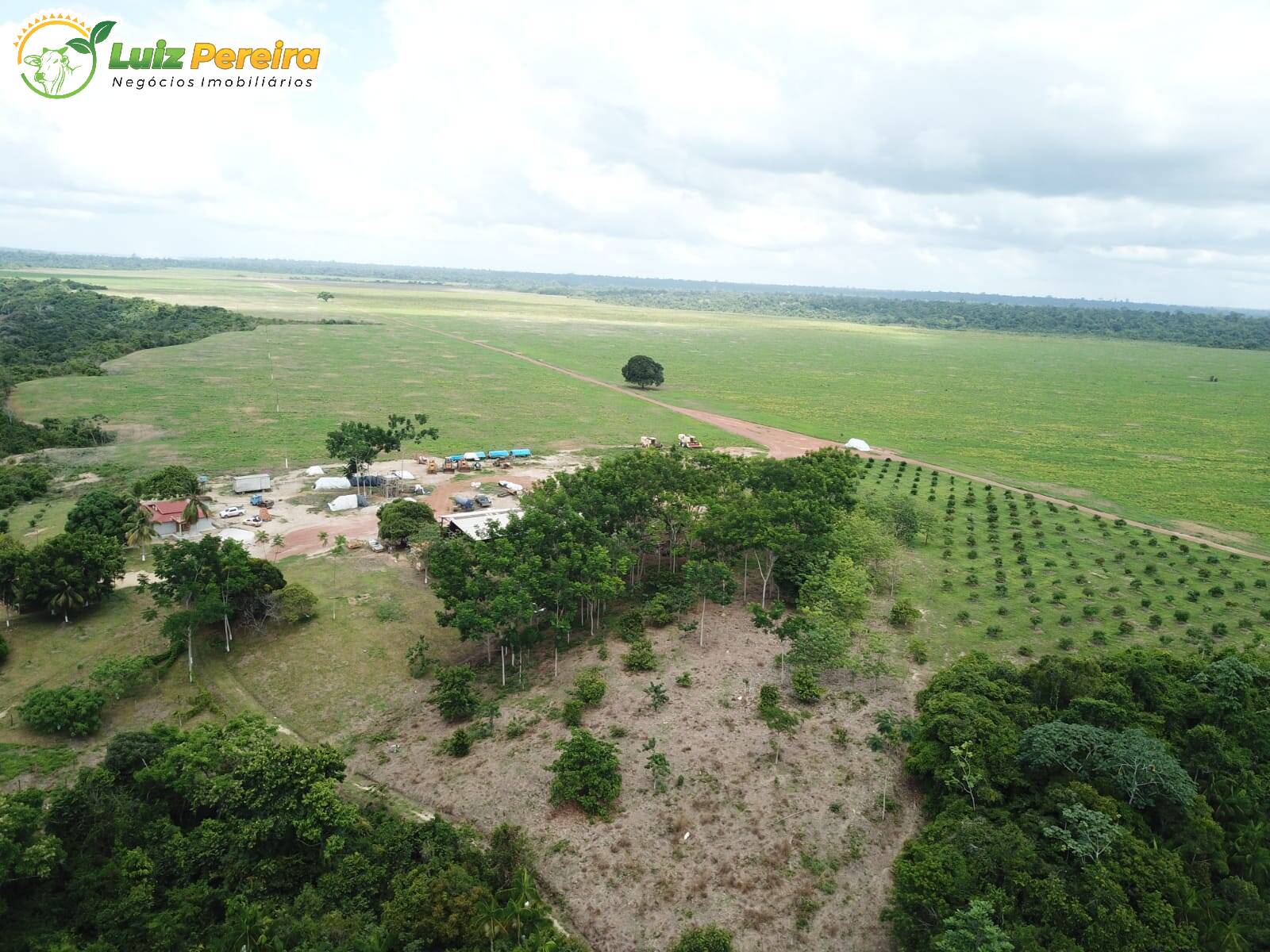 Fazenda à venda, 80800000m² - Foto 16