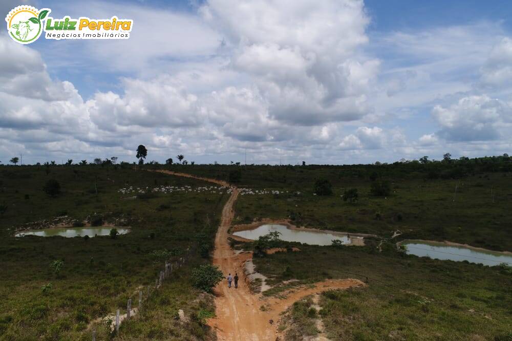 Fazenda à venda, 80800000m² - Foto 4