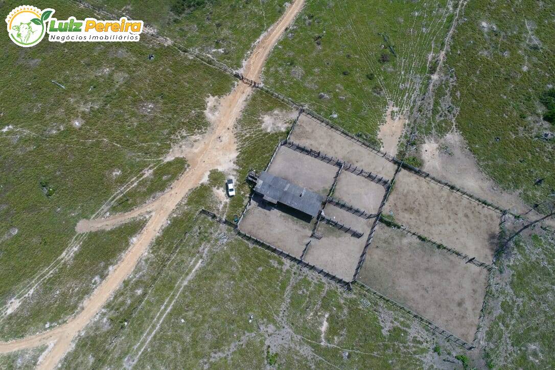 Fazenda à venda, 80800000m² - Foto 20